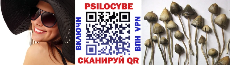 купить закладку  Осташков  Галлюциногенные грибы мицелий 